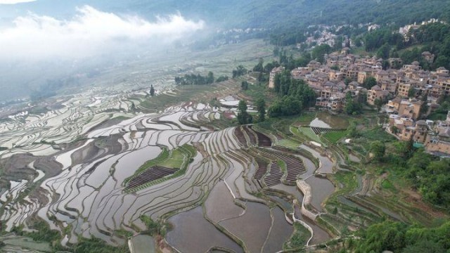 Photo de rizières en terrasse de l’ethnie Hani dans la province du Yunnan (Sud-Ouest de la Chine). (Photo/Xinhua)