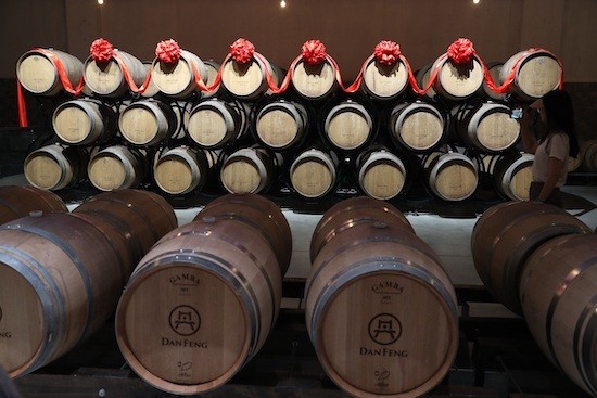 Photo de tonneaux contenant du vin de Danfeng, dont beaucoup ont été importés de France. (Wang Jing / chinadaily.com.cn)