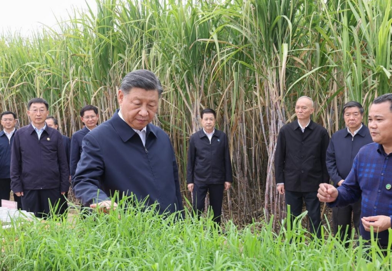 Xi Jinping inspecte la ville de Laibin au Guangxi