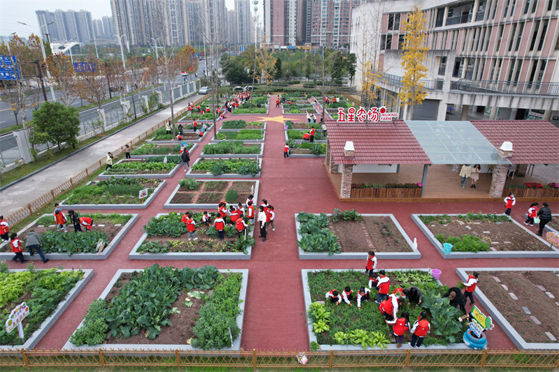 Sichuan : une ？ ferme sur le campus ？ pour apprendre l'agriculture à Neijiang