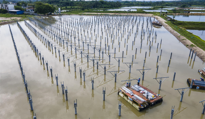 Hainan : la construction du projet complémentaire de pêche et d'énergie photovolta？que de Tayang à Qionghai bat son plein