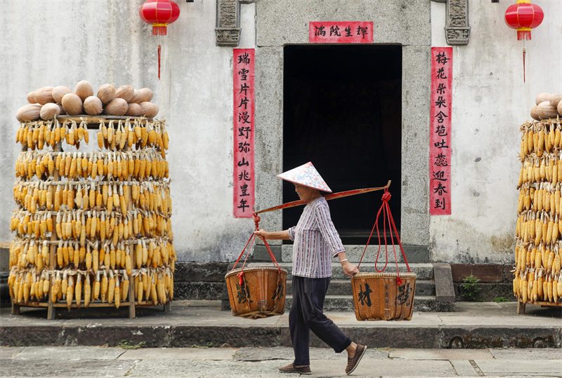 Anhui : la récolte dans le village de Chengkan, comme une peinture naturelle sous le soleil d'automne