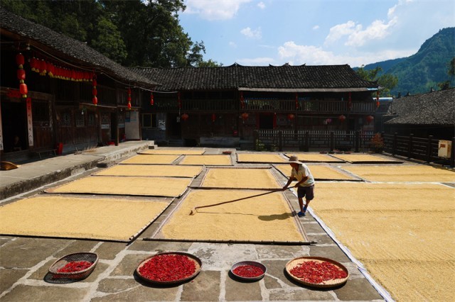 Chongqing : le séchage des récoltes d'automne dans un vieux village du district de Qianjiang